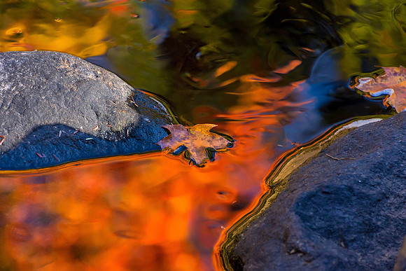 Liquid Orange, Massachusetts