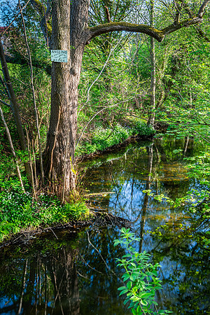 Bar Brook, Baslow, Peak District