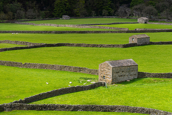 Stone Barns, Gunnerside