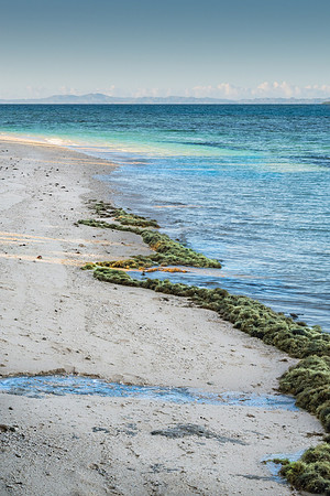 Treasure Island II