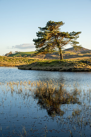 Kelly Hall Tarn, Lake District