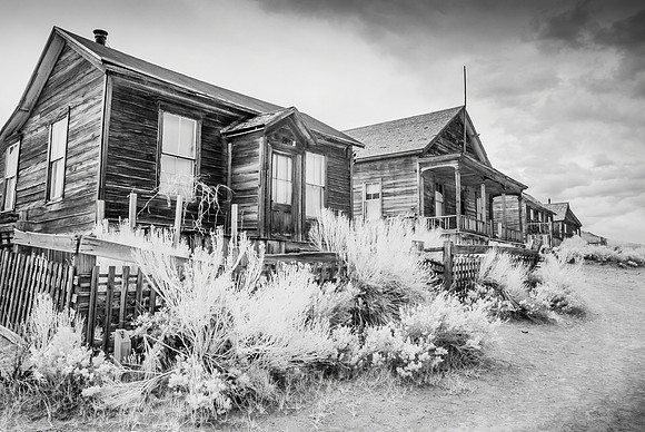 Bodie XVI