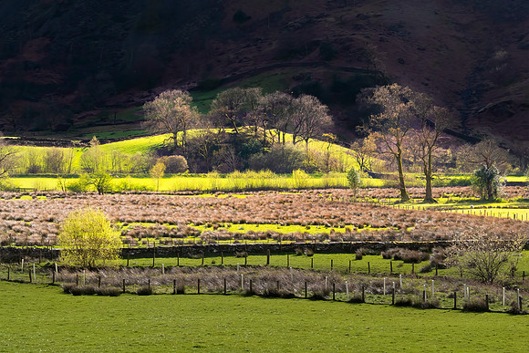 Great Langdale