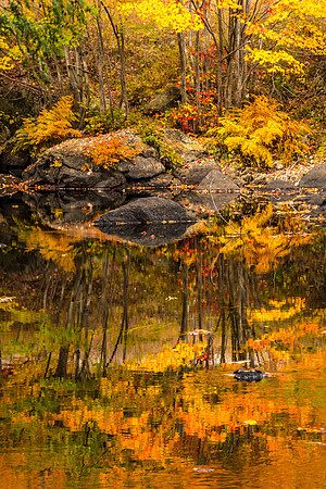 North Branch River Reflections, New Hampshire