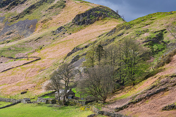 Martindale
