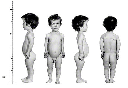 Robin's Medical Photography Portfolio