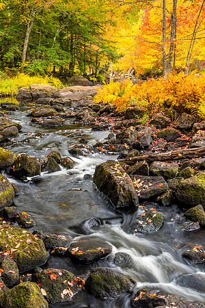 North Branch River, New Hampshire