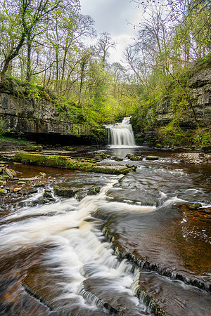 West Burton Force