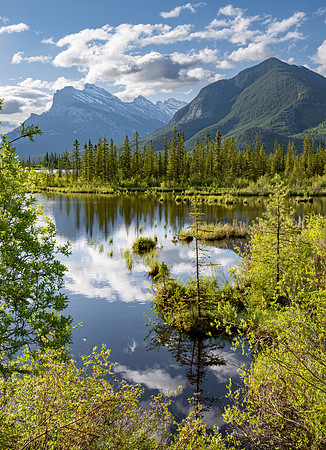 Vermillion Lakes VIII, Banff NP