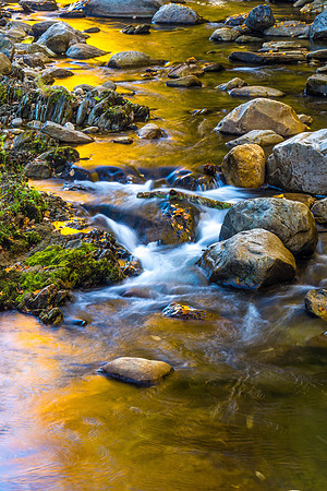 Golden Stream, Vermont