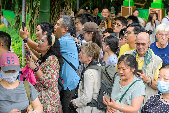 Spot the Panda!