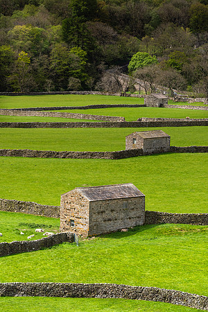 Stone Barns 3, Gunnerside