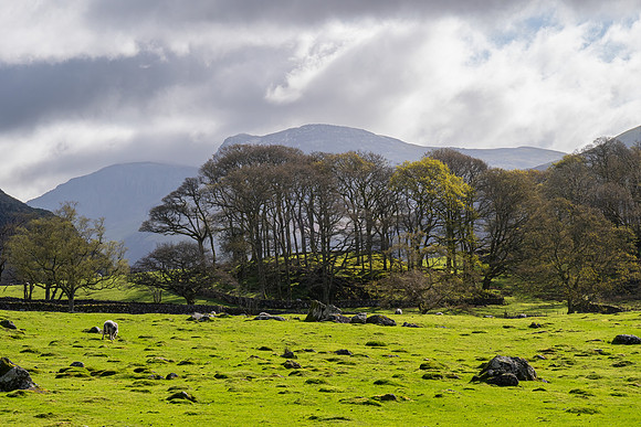 Wasdale