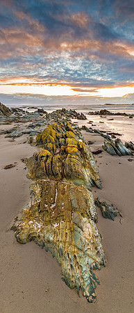Tarkine Coast II