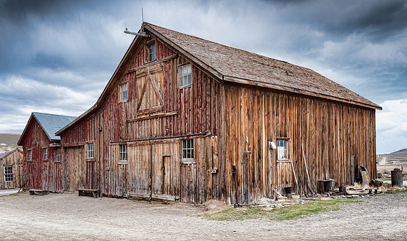 Bodie XV