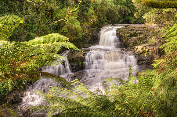 Turton's Creek Falls IV