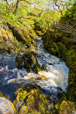Waterfalls Walk Park 3