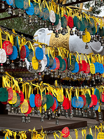 Prayer Offerings, Elephant Hill Buddist Temple, Guilin