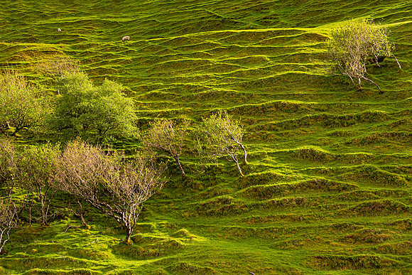 Last Light, Fairy Glen, Skye