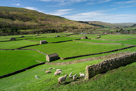 Angram & Thwaite