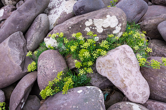 Dingle Peninsula