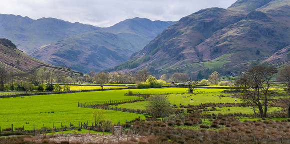Great Langdale