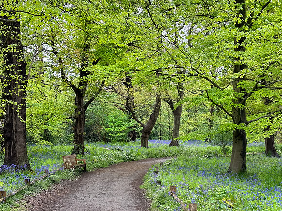 Kew Gardens