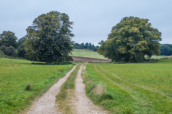 The Old Roman Road