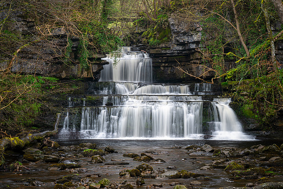 Cotter Force