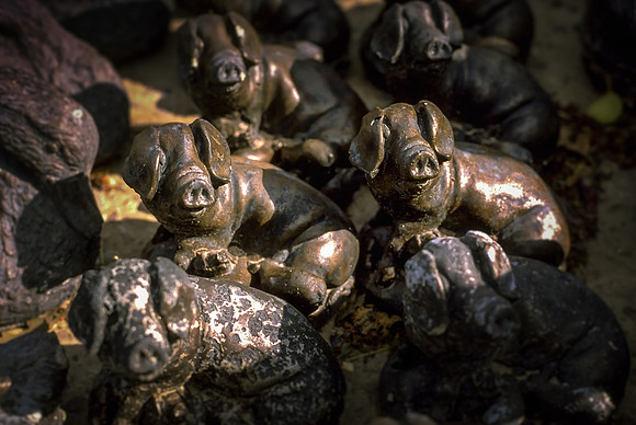 Pass the Pig