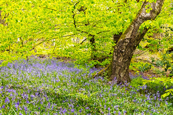 Froggatt Edge 3, Peak District