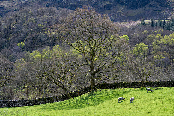 Wasdale
