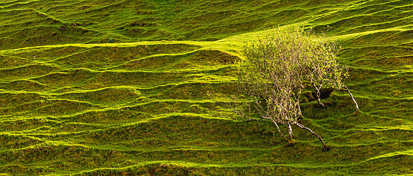 Last Light 2, Fairy Glen, Skye