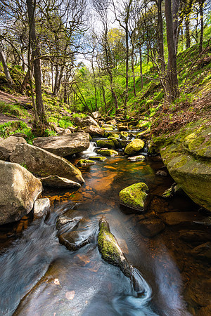 Burbage Brook, Padley Gorge, Peak District