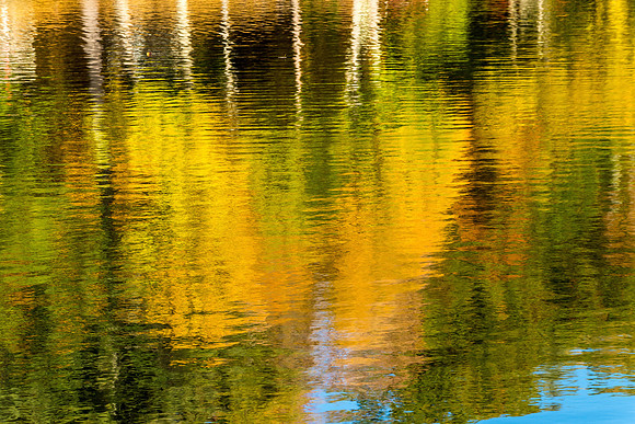 Massachusetts Reflections