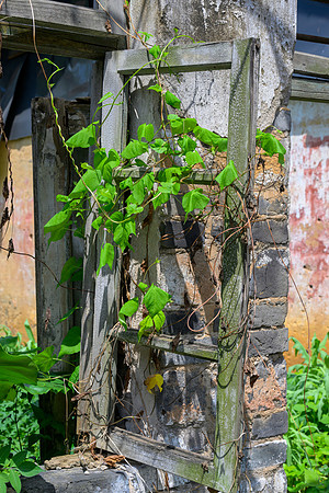 Yangshuo Village VII