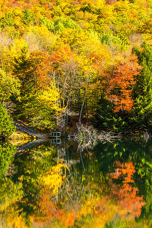 Reflections, Vermont