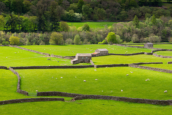 Stone Barns 5, Gunnerside
