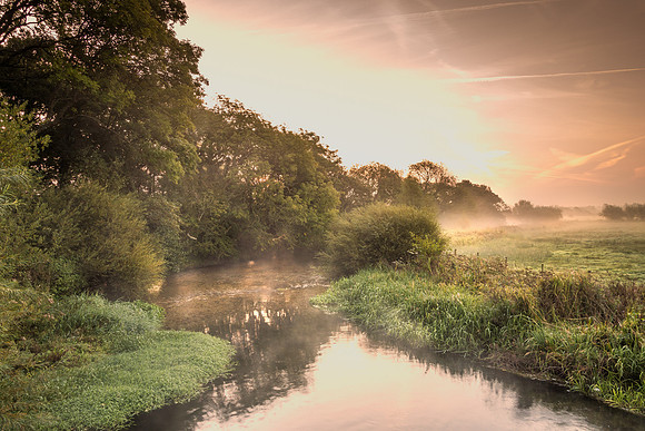 The Water Meads