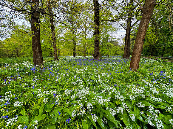 Kew Gardens