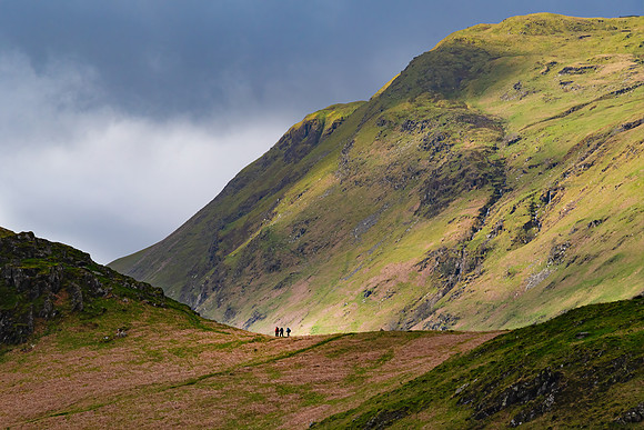 Martindale