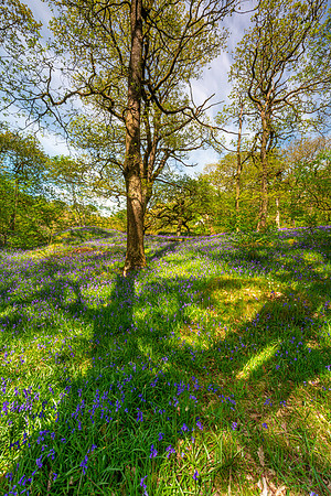 Waterfalls Walk Park 2, Yorkshire Dales
