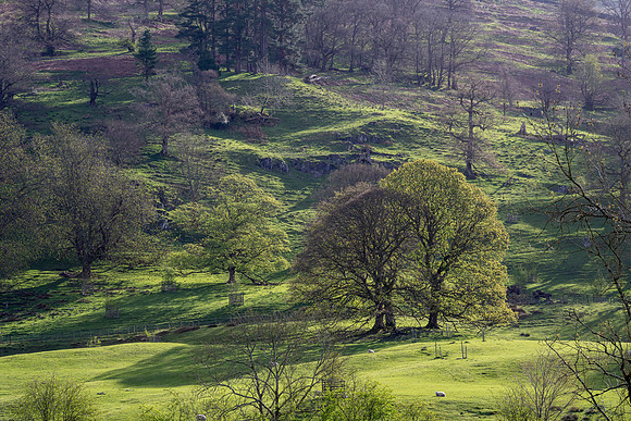 River Rothay, Rydal