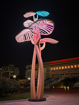 Emeishan at Night
