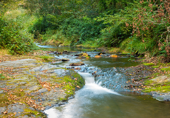 The Valency River